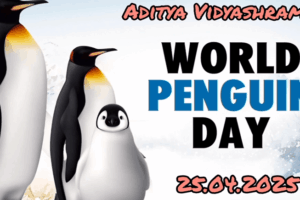World–Penguin-Day-Celebration World–Penguin-Day-Celebration